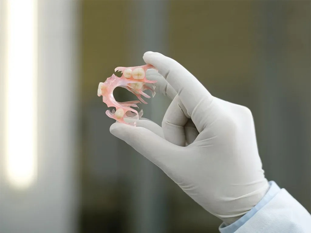 Valplast Versorgung Detail